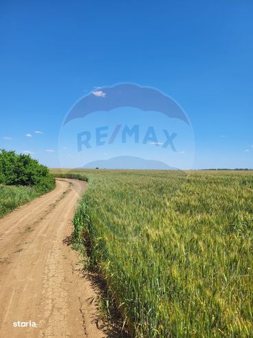 Teren intravilan 30,800mp Ciolpani, f.s 105 ml. Comision 0%-1