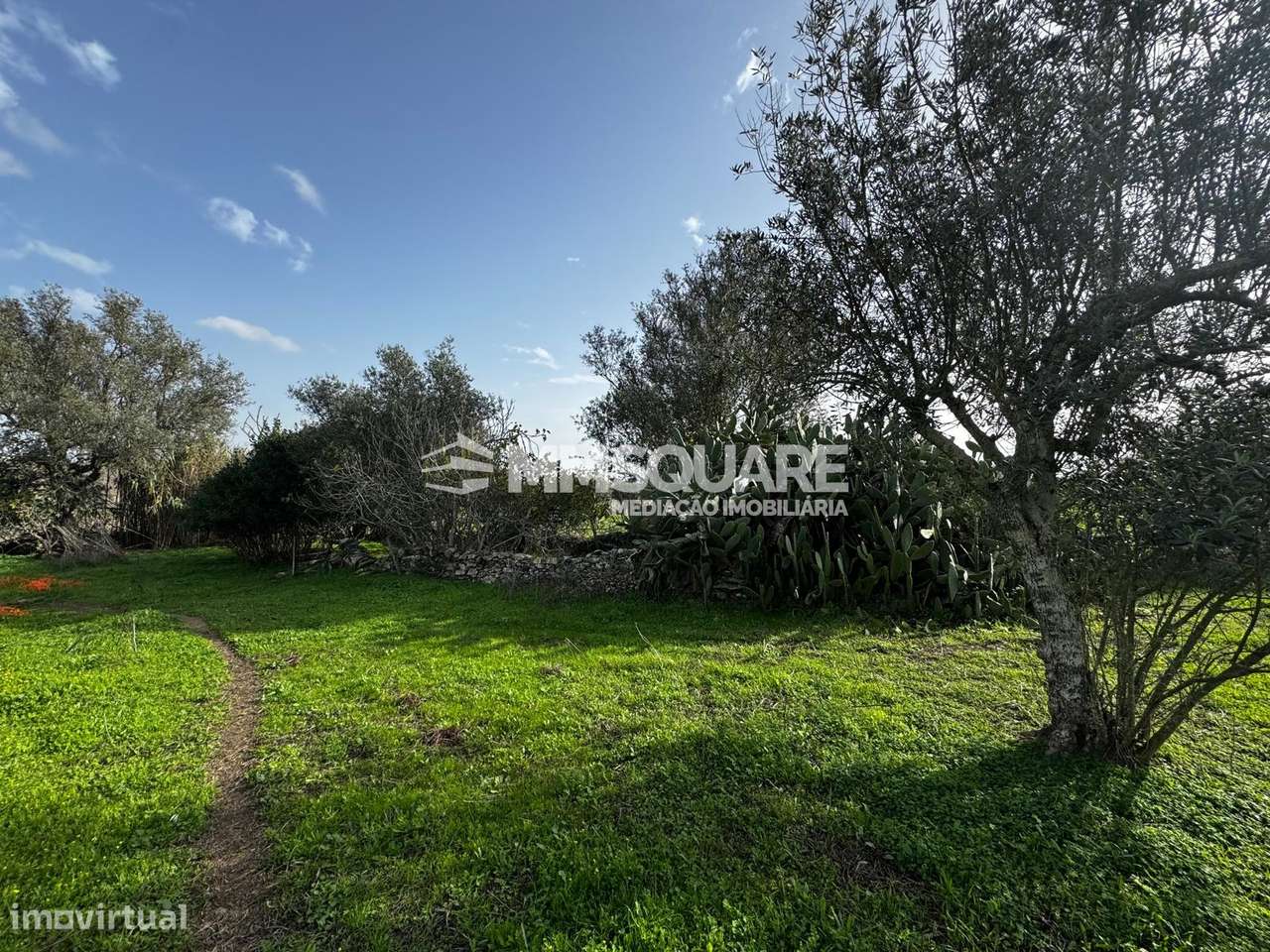 Quintinha T3 Venda em Ourique,Ourique - Grande imagem: 4/28