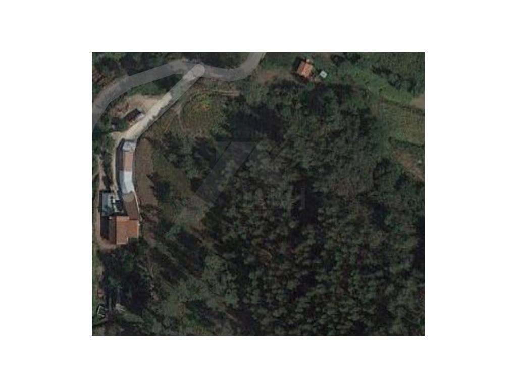 Terreno c/ 6.000 m2 (5 bouças). - Grande imagem: 2/5