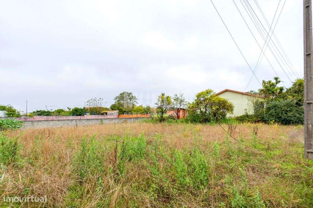 Moradia T3 São João de Ovar - Grande imagem: 2/33