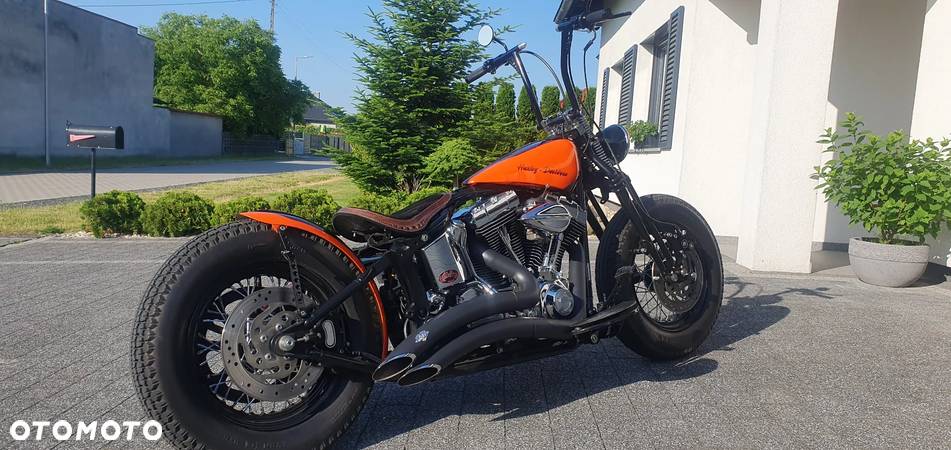 Harley-Davidson Softail - 4