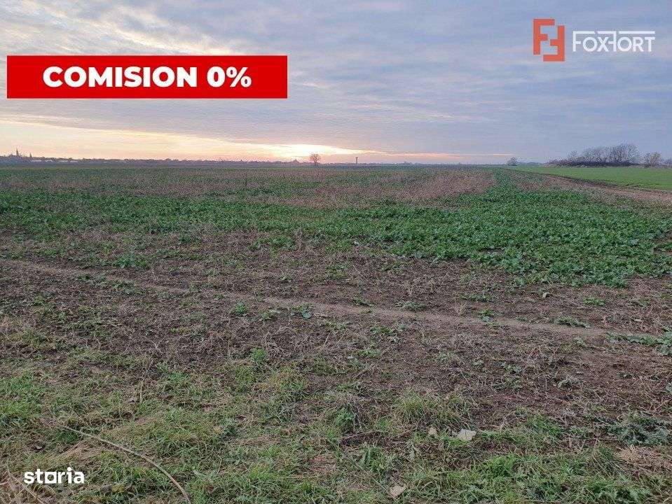 COMISION 0% Teren extravilan 20.000 mp la sosea in Sag - Imagine principală: 4/6
