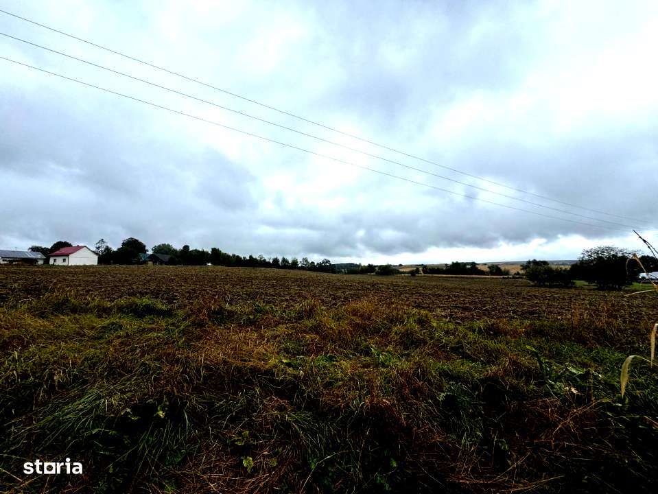 Adresa in Romania-  casa batraneasca demolabila cu 2050 mp teren-14