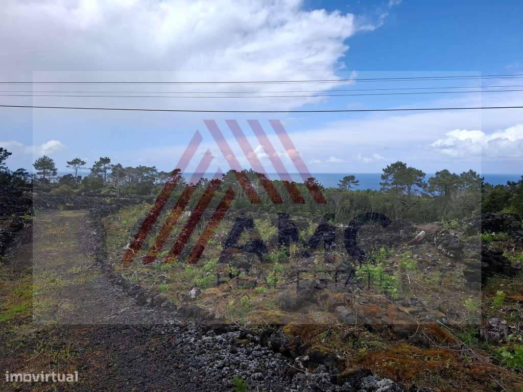 Terreno Rústico c/Vinha e viabilidade de Construção - Grande imagem: 4/12