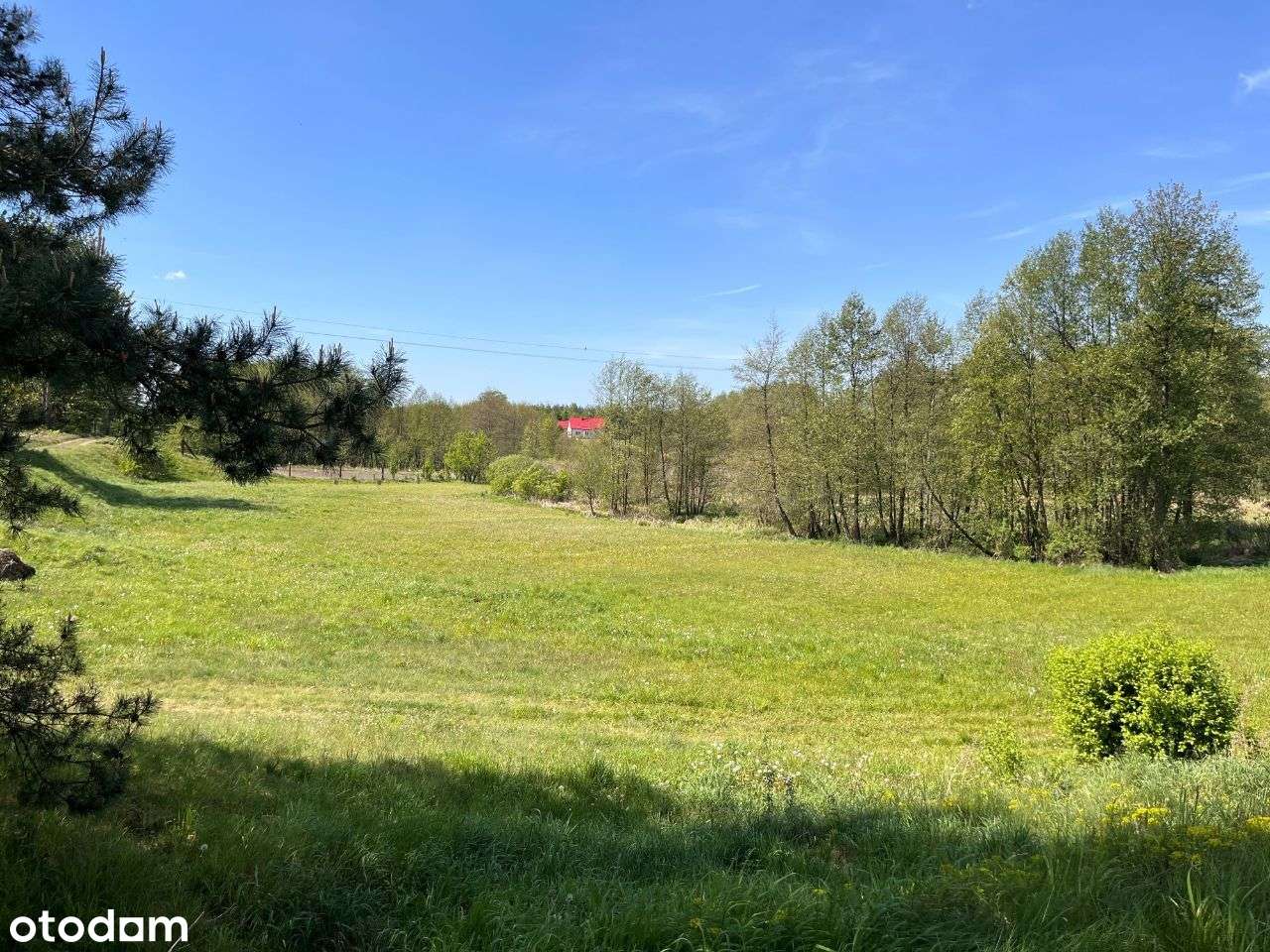 Działka z dostępem do rzeki! - Pełny obrazek: 4/14