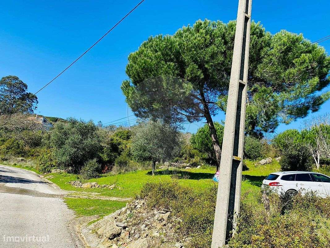 Terreno  para venda-5