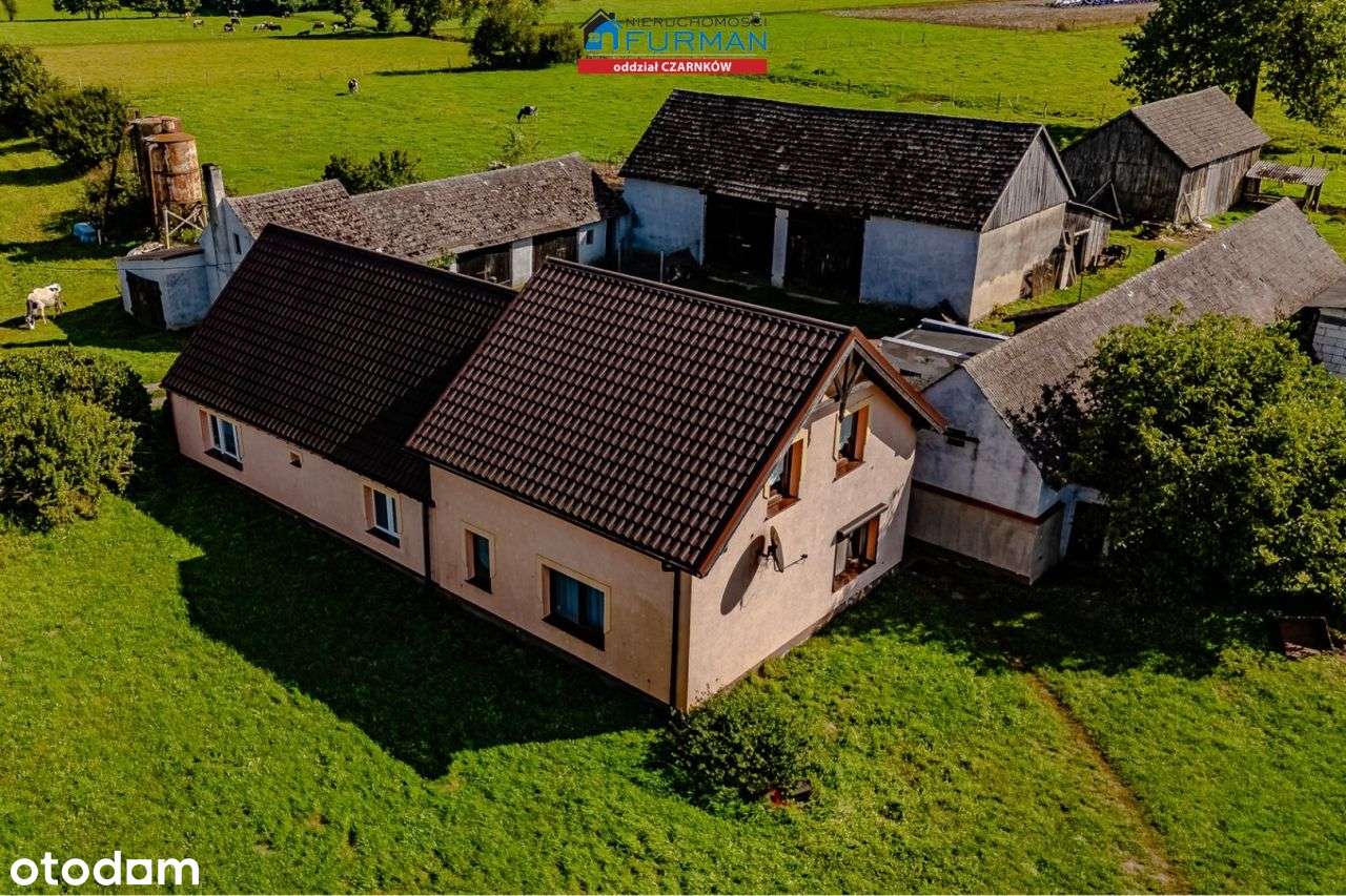 Czynne gospodarstwo rolne / produkcja mleka - Pełny obrazek: 4/20