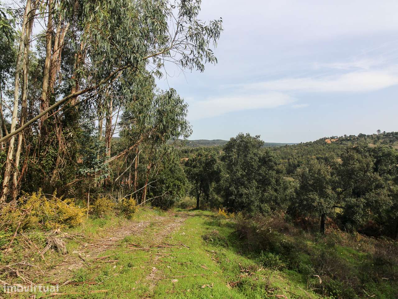 Terreno com cerca de 1 Hectare-11