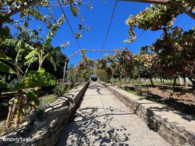 Excelente Moradia c/Piscina, Ringue desportivo, Garagem-13