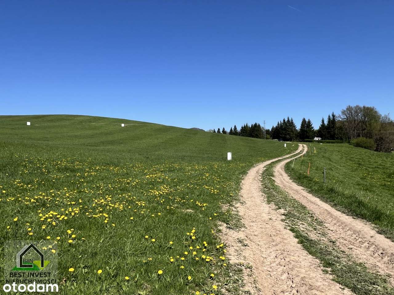 Budowlana, widokowa, z prądem i wodą Siedlęcin, bez pcc! - Pełny obrazek: 5/16