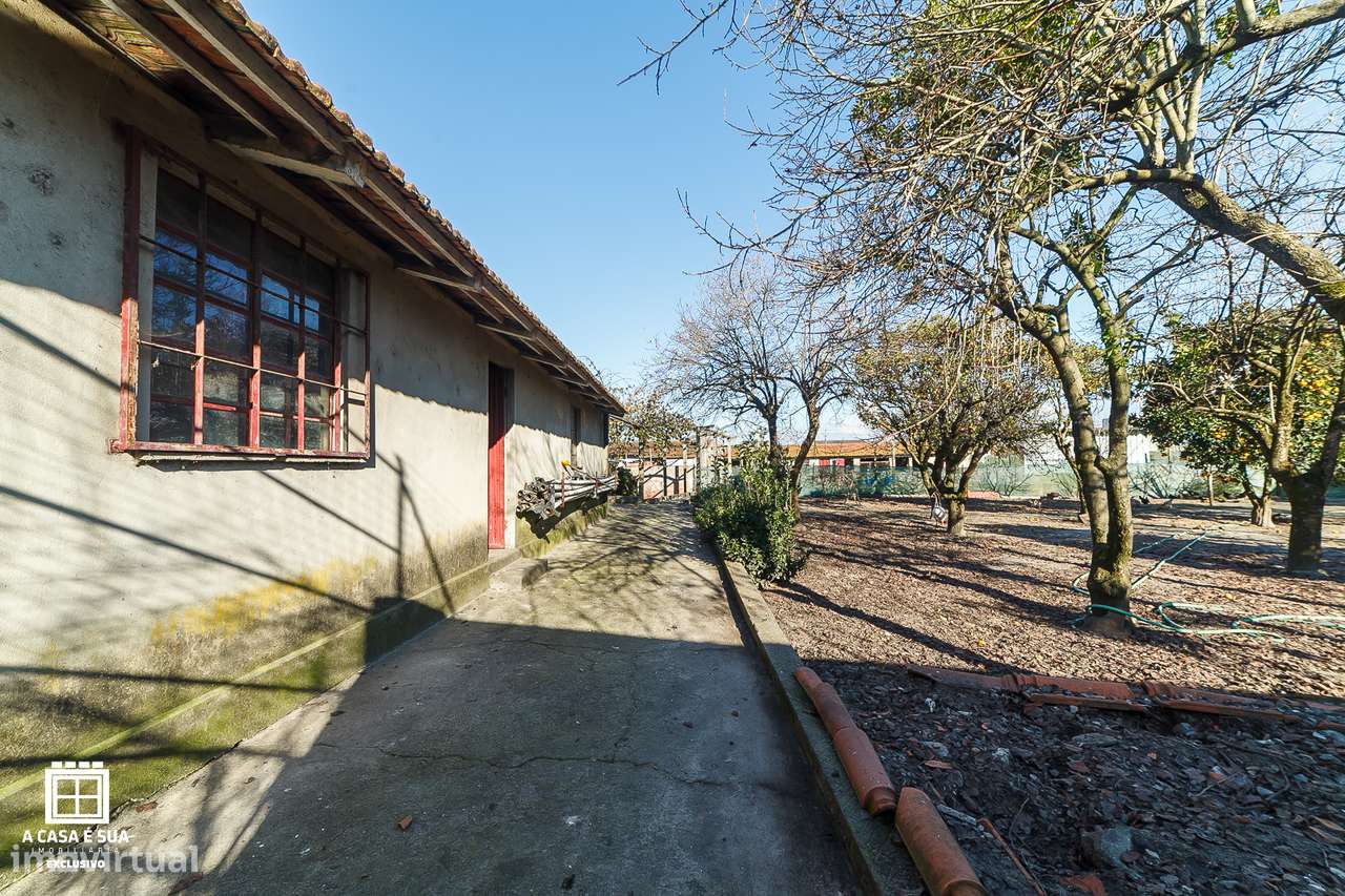 Terreno Rústico com Viabilidade de Construção  em Pardilhó - Exclusivo-15