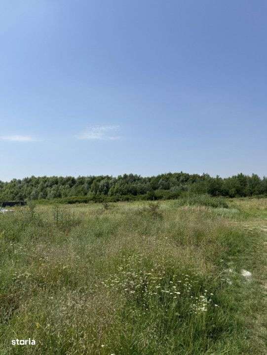 Domnesti – Strada Salciei – Teren intravilan 500 mp x 2 loturi - Imagine principală: 5/11