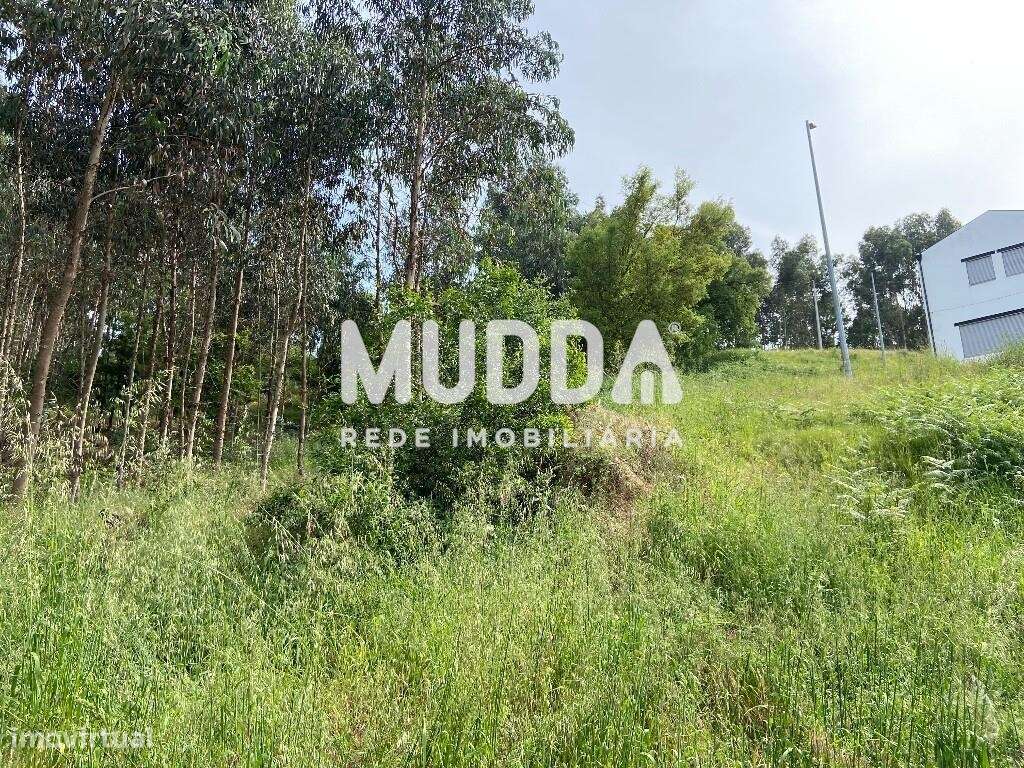 Terreno com 2.900 m2, rústico, com possibilidade de construção, em Cré - Grande imagem: 4/7