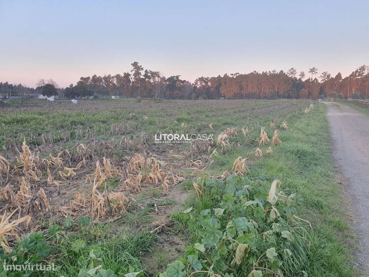 Terreno para 28 Moradias - 200 metros de frente - Grande imagem: 5/13