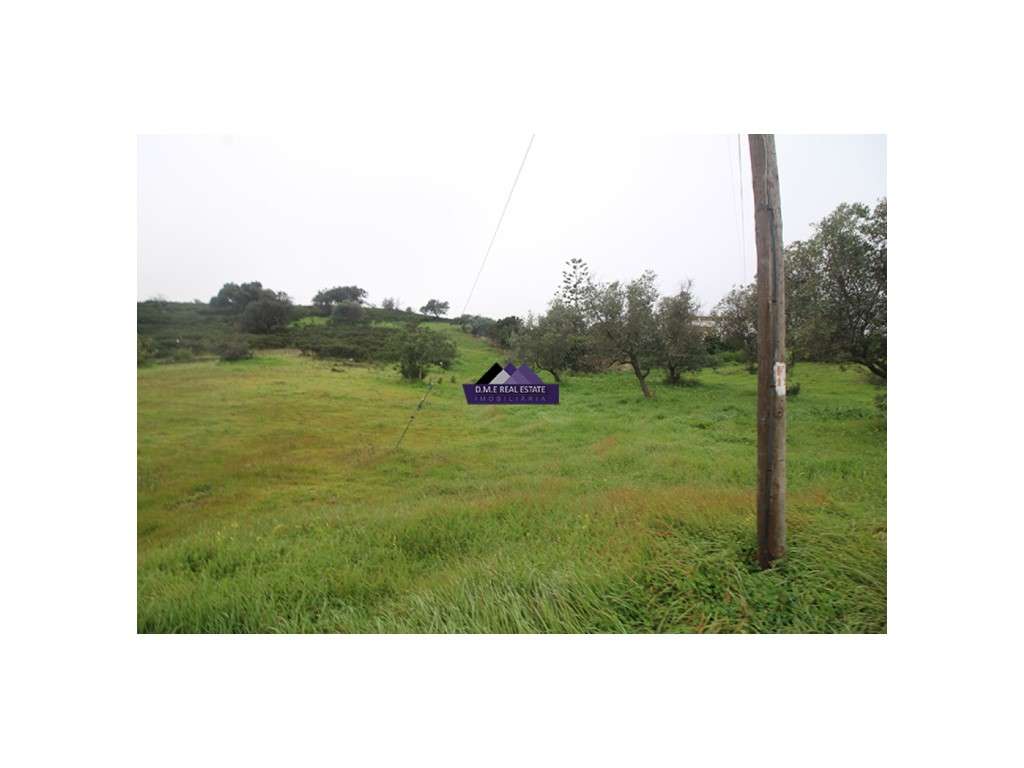 Terreno Rústico - Grande imagem: 5/9