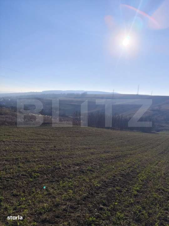 Teren 5000 mp Rediu, oportunitate investitie - Imagine principală: 3/3