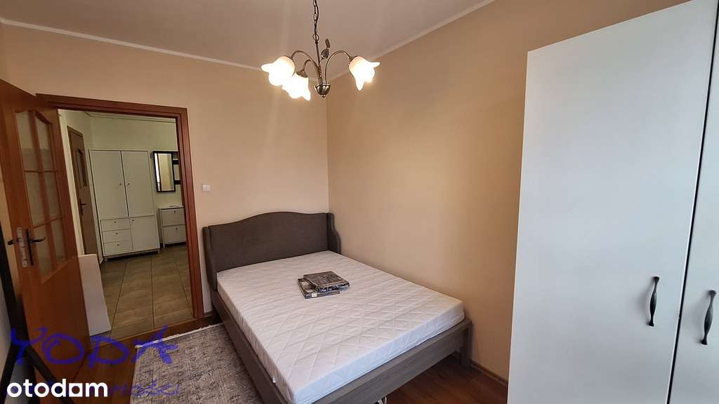 dla single lub pary - Pełny obrazek: 4/11