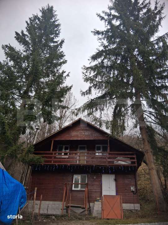Cabana Muntele Baisorii