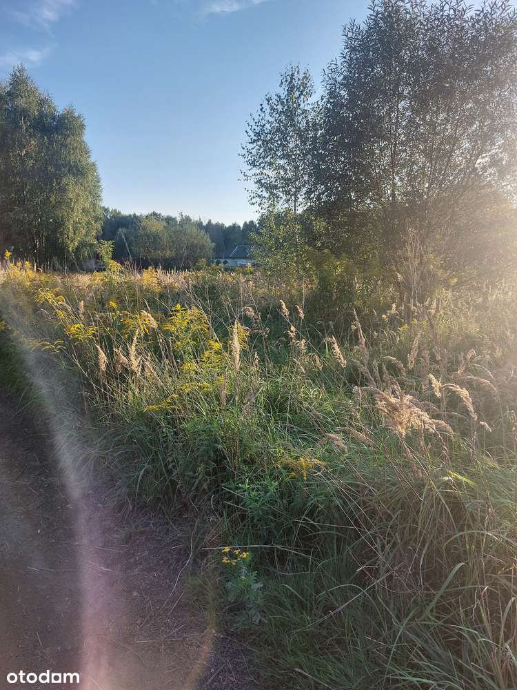 DZIAŁKA budowlana z WZ - Gałków Mały - Pełny obrazek: 4/4