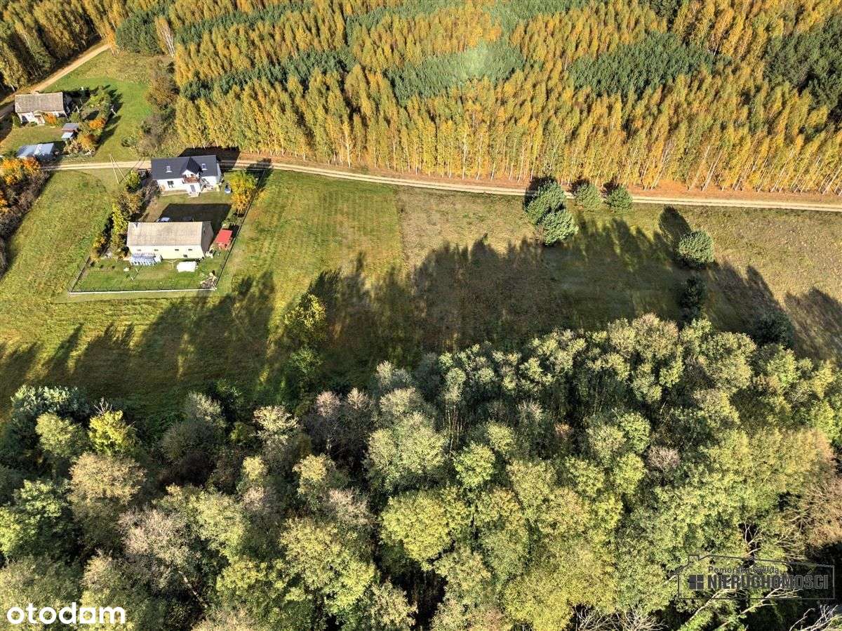 Działka pod lasem na raty - Piaseczno-12