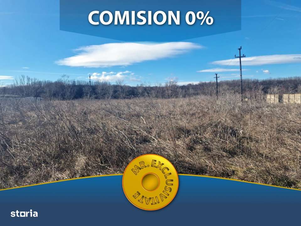 26.000 MP TEREN+HALA COSTESTI - Imagine principală: 1/3