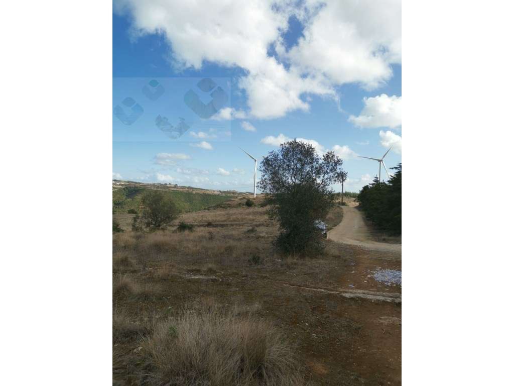 Terreno - Grande imagem: 4/6