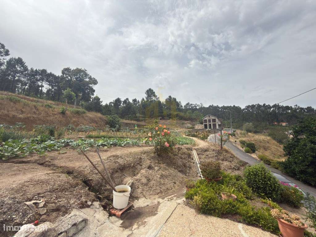 Moradia com Terreno para Restauro | 10 Hectares | Fafe-15
