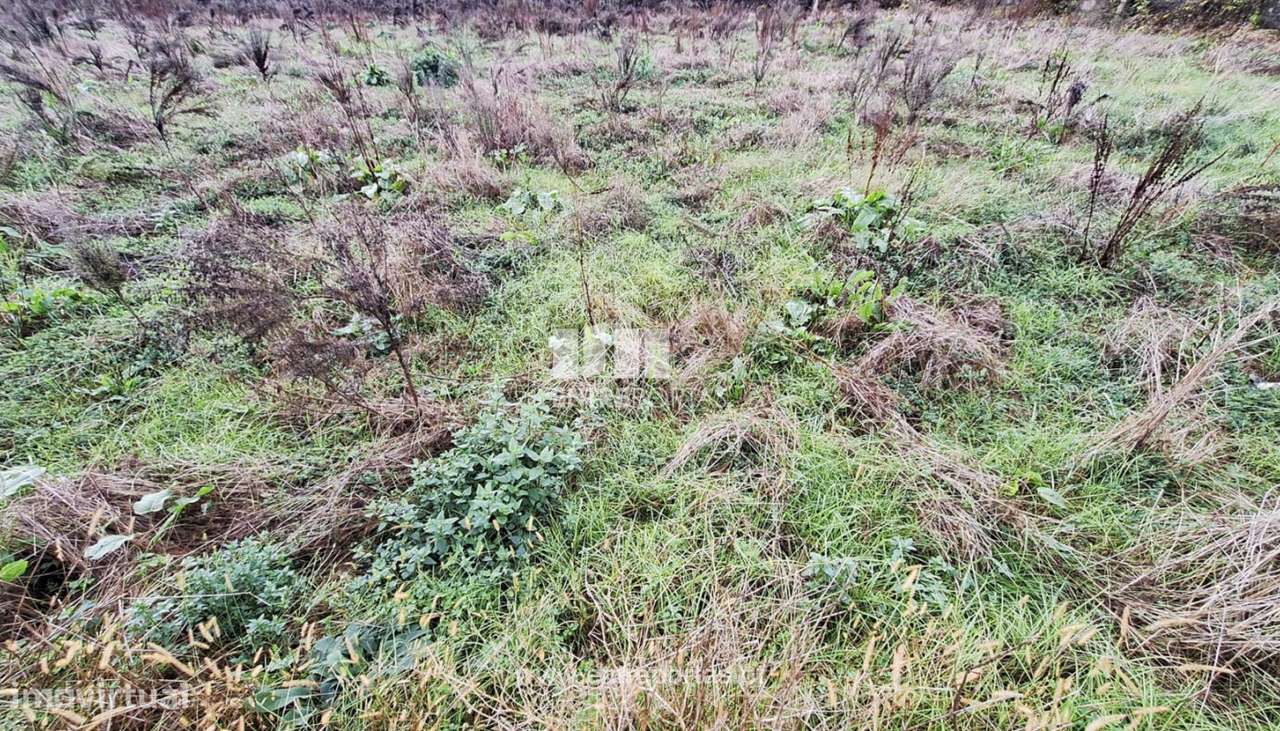 Venda de Terreno com 2600 m2, Vila Nova da Telha, Maia - Grande imagem: 4/11