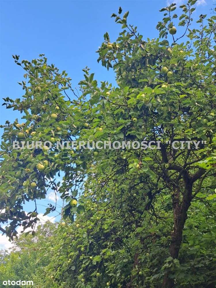 Działka, 1 879 m², Będzin - Pełny obrazek: 3/7