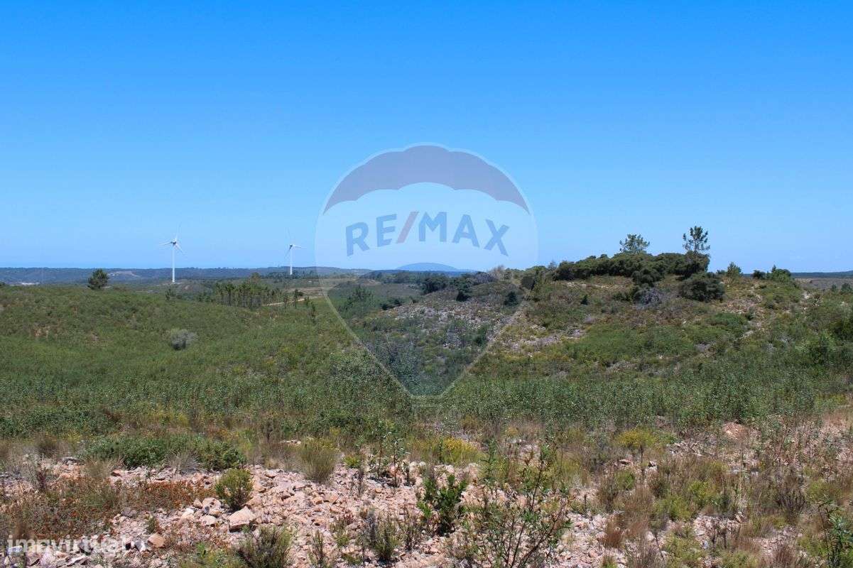 Quinta T5 para venda - Grande imagem: 5/18