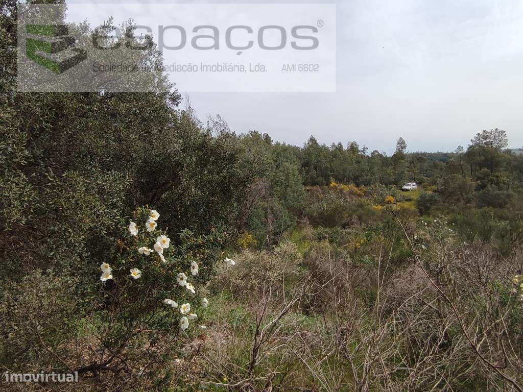 Terreno com vistas panorâmicas - Palvarinho - Grande imagem: 5/10