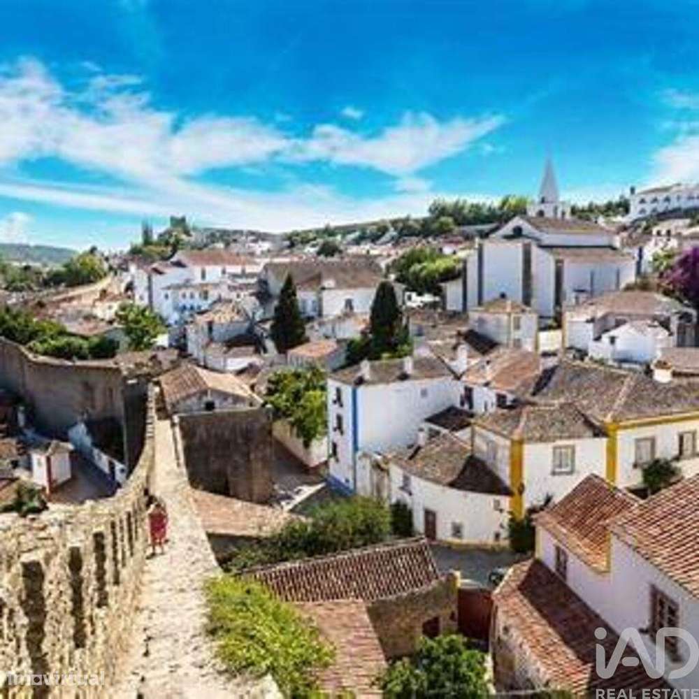 Terreno em Rio Maior de 4314,00 m2 - Grande imagem: 4/19