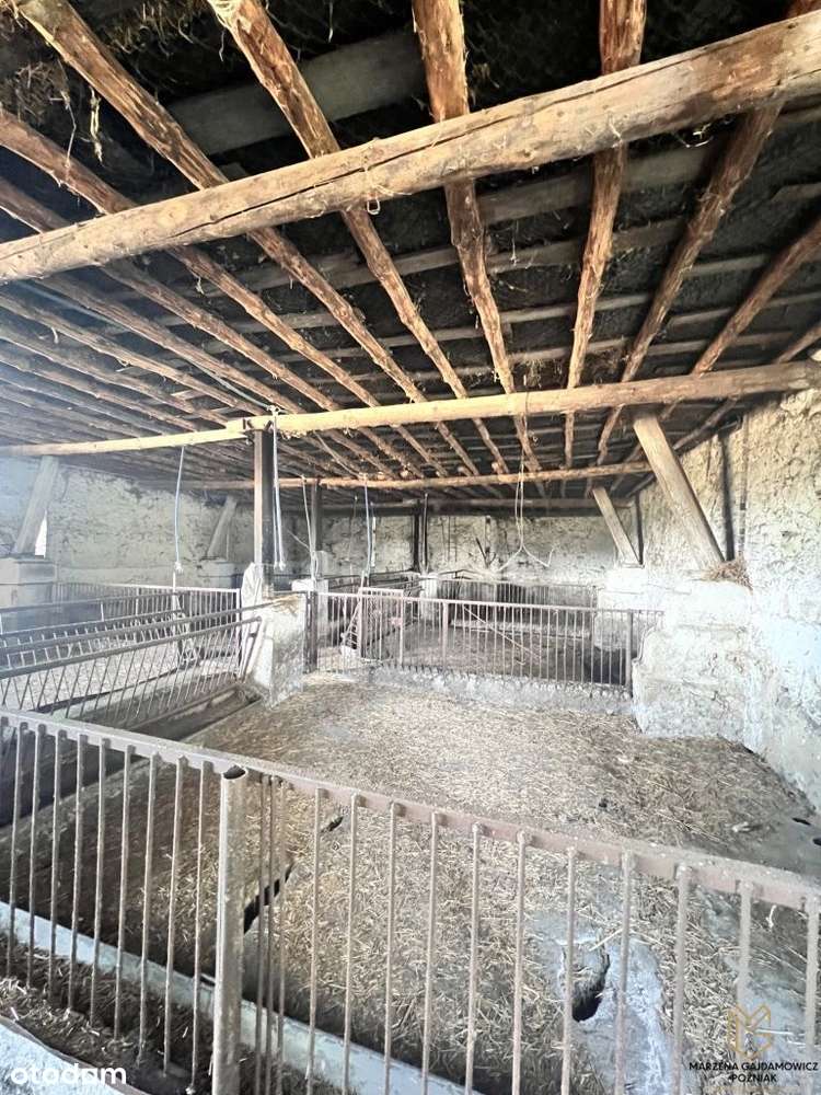 Działka rolna wraz z zabudowaniem-6