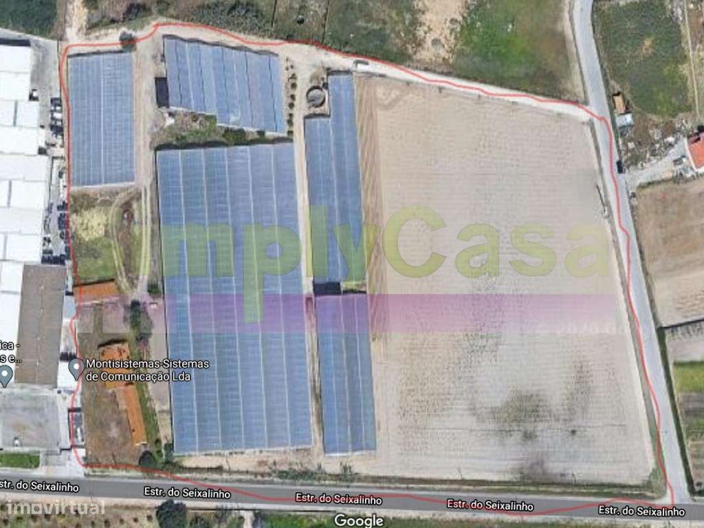 Moradia Ruina junto BA6 Montijo inserida em terreno c/ 3 ha-0