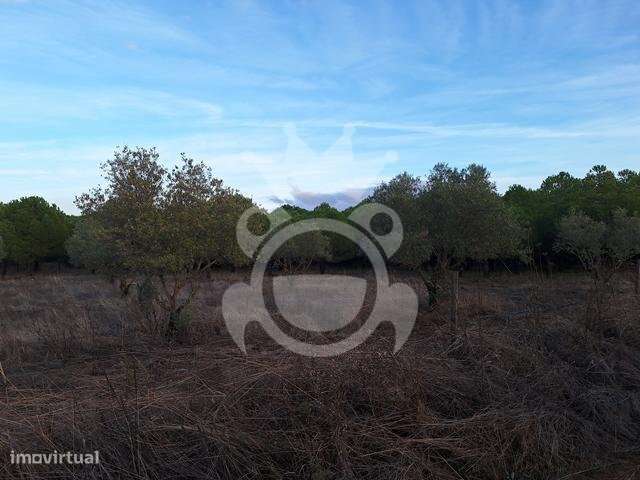 Terreno de 6,1 ha com Ruína-8