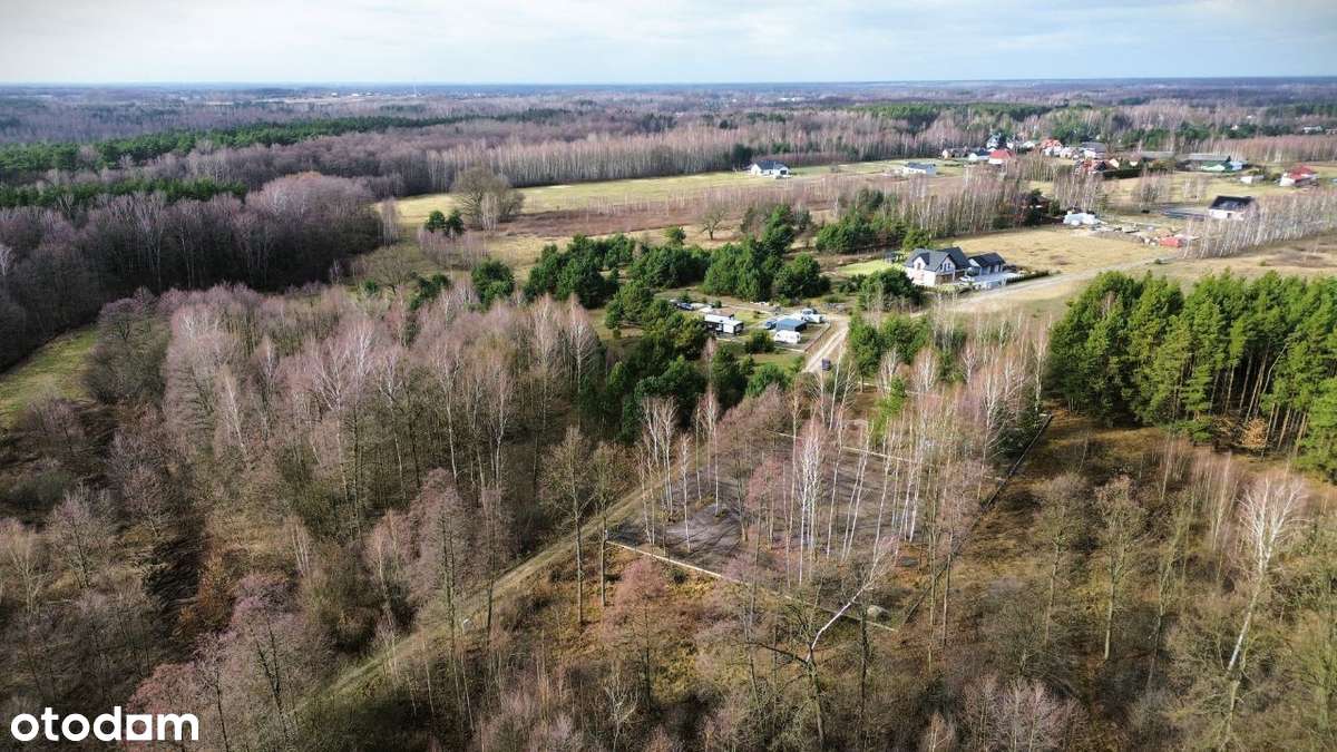 Sprzedam działki budowlane, Ławki, Gmina Prażmów - Pełny obrazek: 4/5