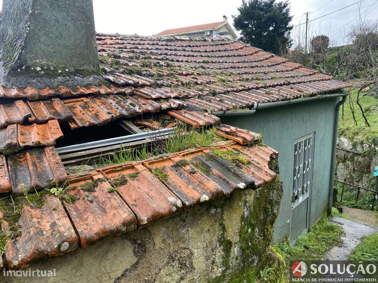 Moradia + terrenos rusticos - Grande imagem: 2/15