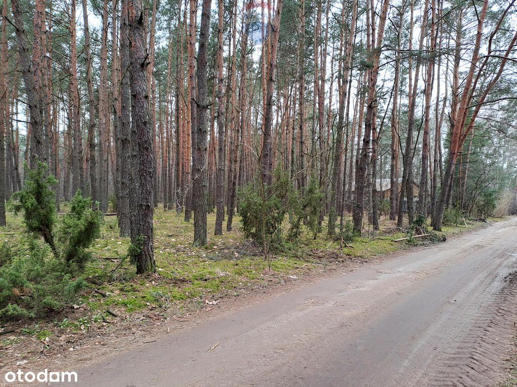 Działka leśna z możliwością zabudowy w Mpzp