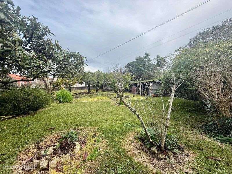 Moradia T5 em Cantanhede - Grande imagem: 5/12