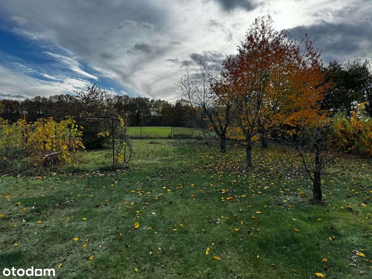 Sprzedaż działki! Brzóza, ul. Lipowa - Pełny obrazek: 2/6