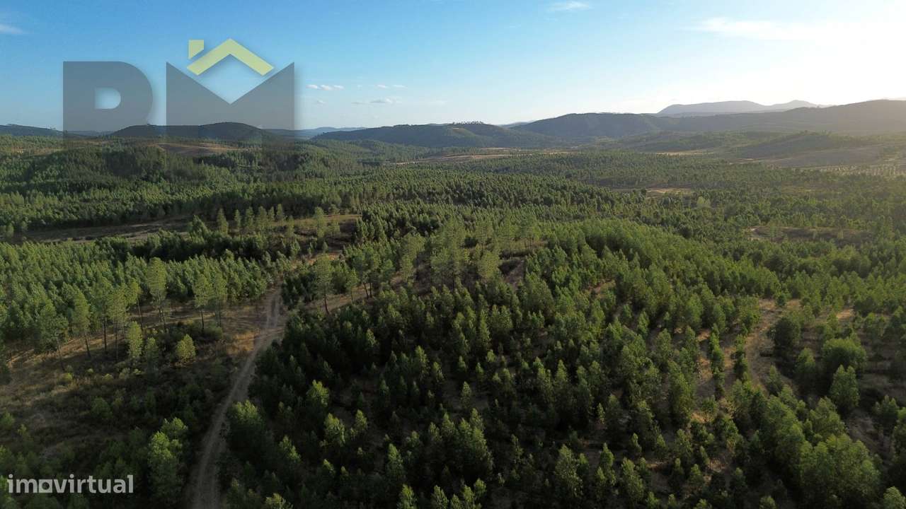 Herdade  Venda em Ninho do Açor e Sobral do Campo,Castelo Branco - Grande imagem: 5/16