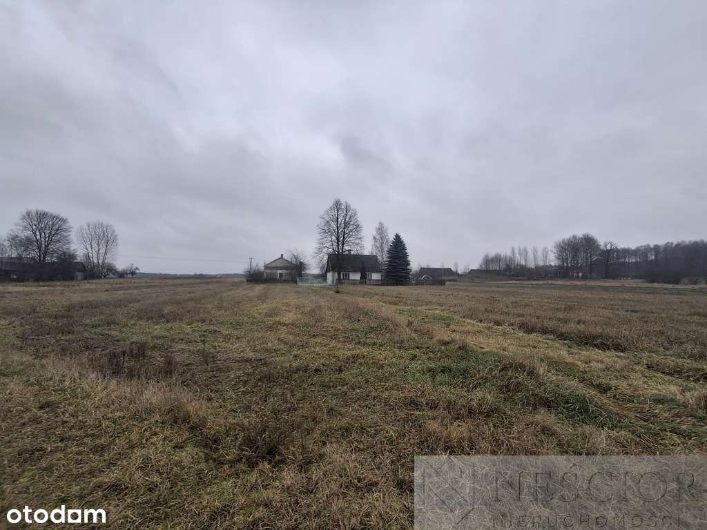 5,3 ha pod agroturystykę lub stadninę - Pełny obrazek: 4/10