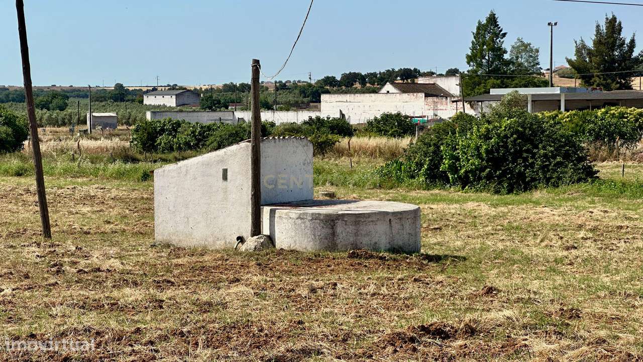 Alentejo-BEJA- Nossa Senhora das Neves, Excelente Quinta, com MORADIA-29