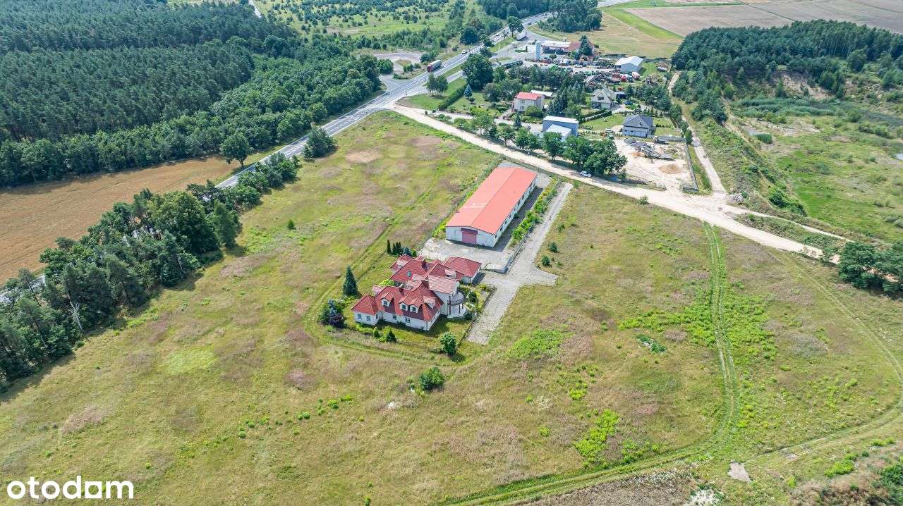 Działka, 28 512 m², Brzeźnik-2