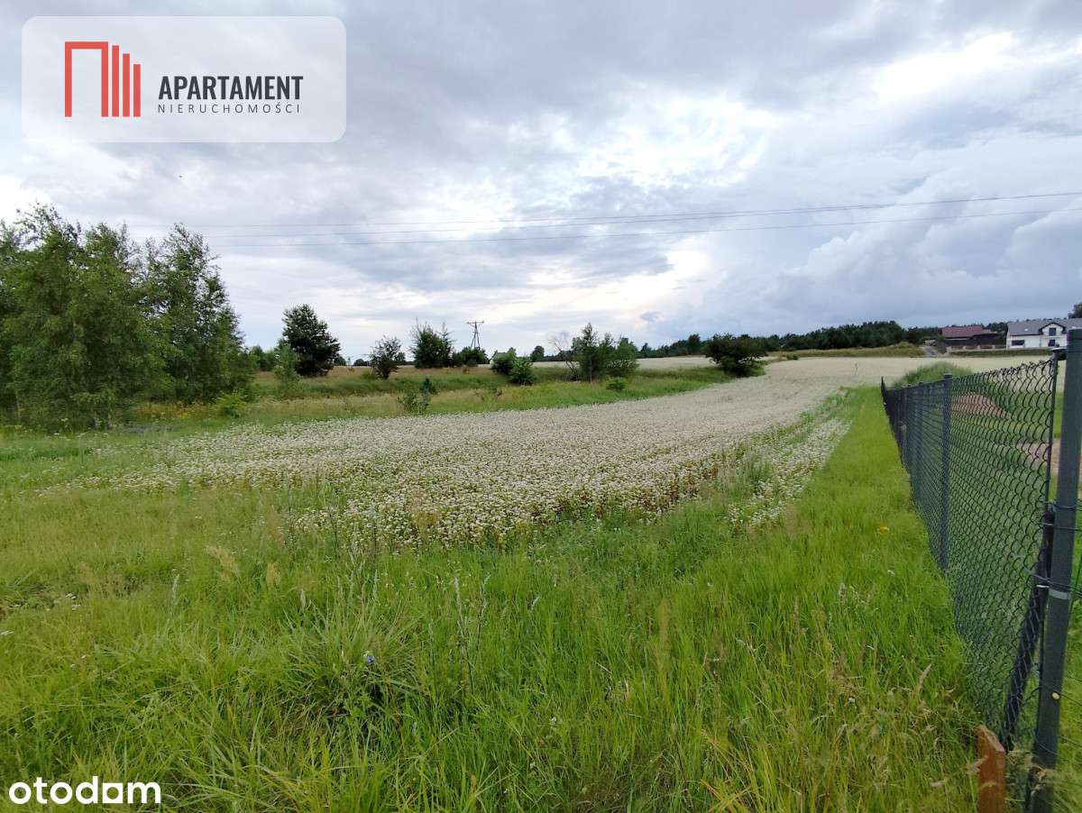 Tylko u Nas! Działka z wydanymi warunkami zabudowy - Pełny obrazek: 4/9