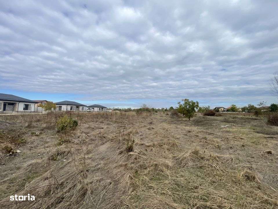 Domnesti, Drumul Targului, teren 3752 mp, 129ml x 29 ml, utilitati la-1