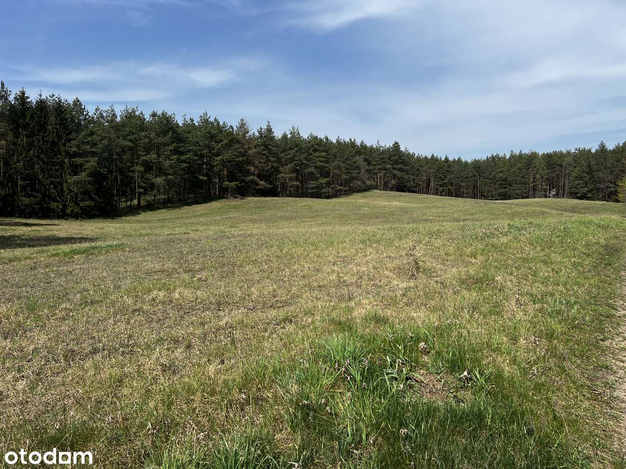 Prywatne Mazury - 4,27ha z linią brzegową jeziora Tałty-8