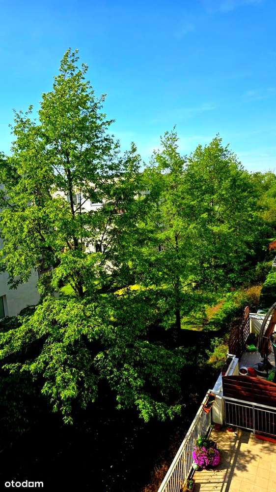 3 pokoje /garaż/piwnica-16