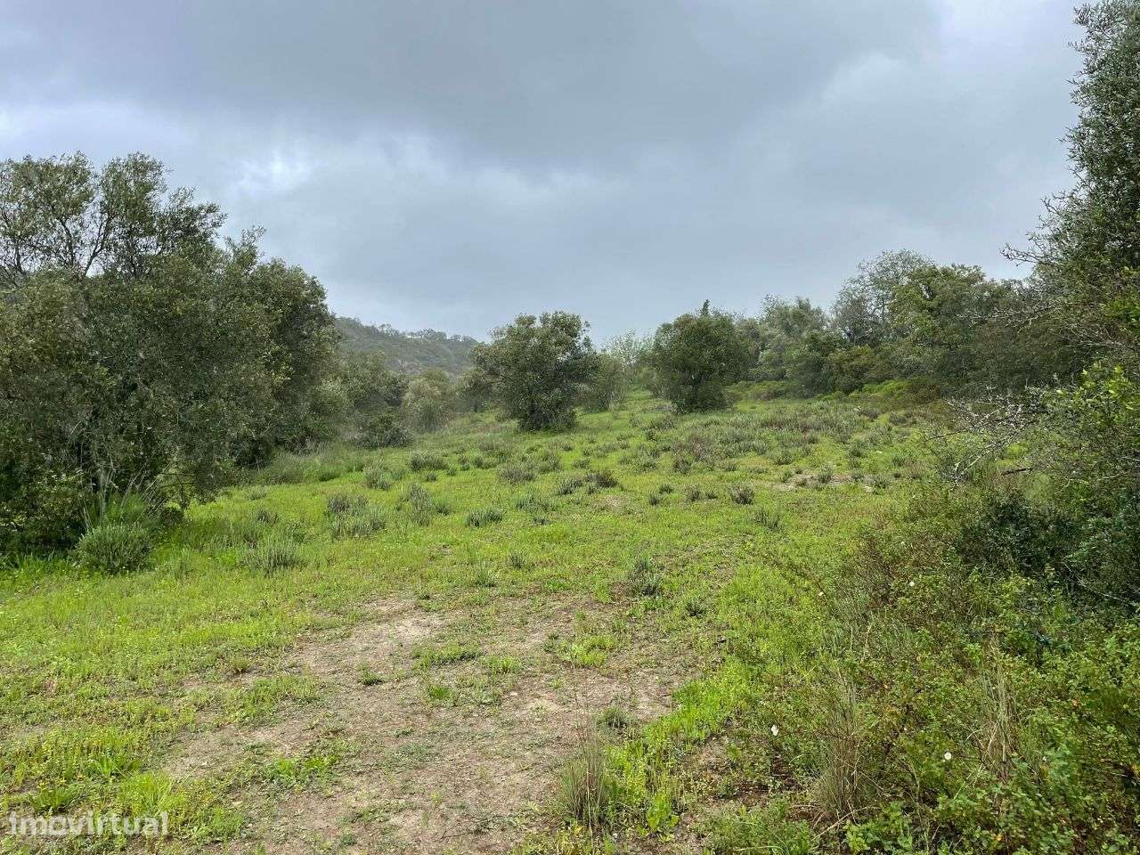 Terreno Rustico em torre Apra- Loule-12