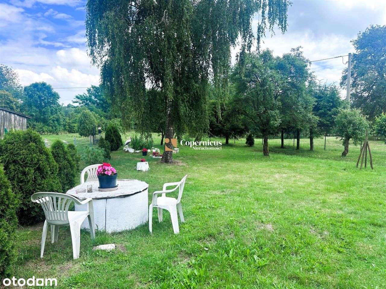 Grunt-6 ha z domem i budynkami,gm.Skępe,potencjał-15